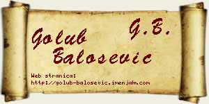 Golub Balošević vizit kartica